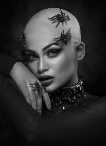 Salon.Photo Bronze Medal